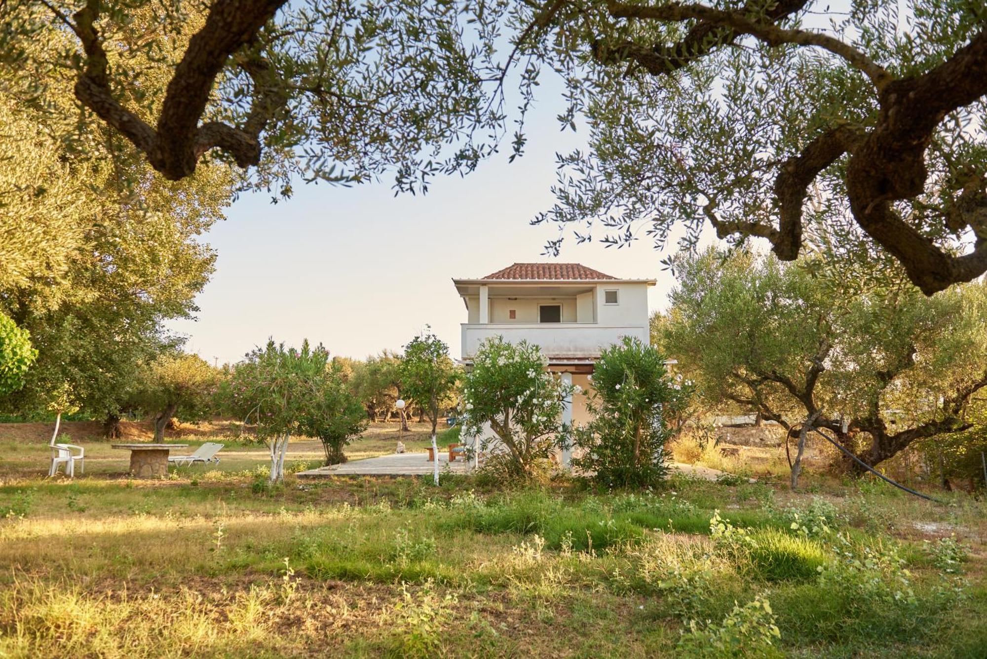 Rania / Zante Drosia Kypseli