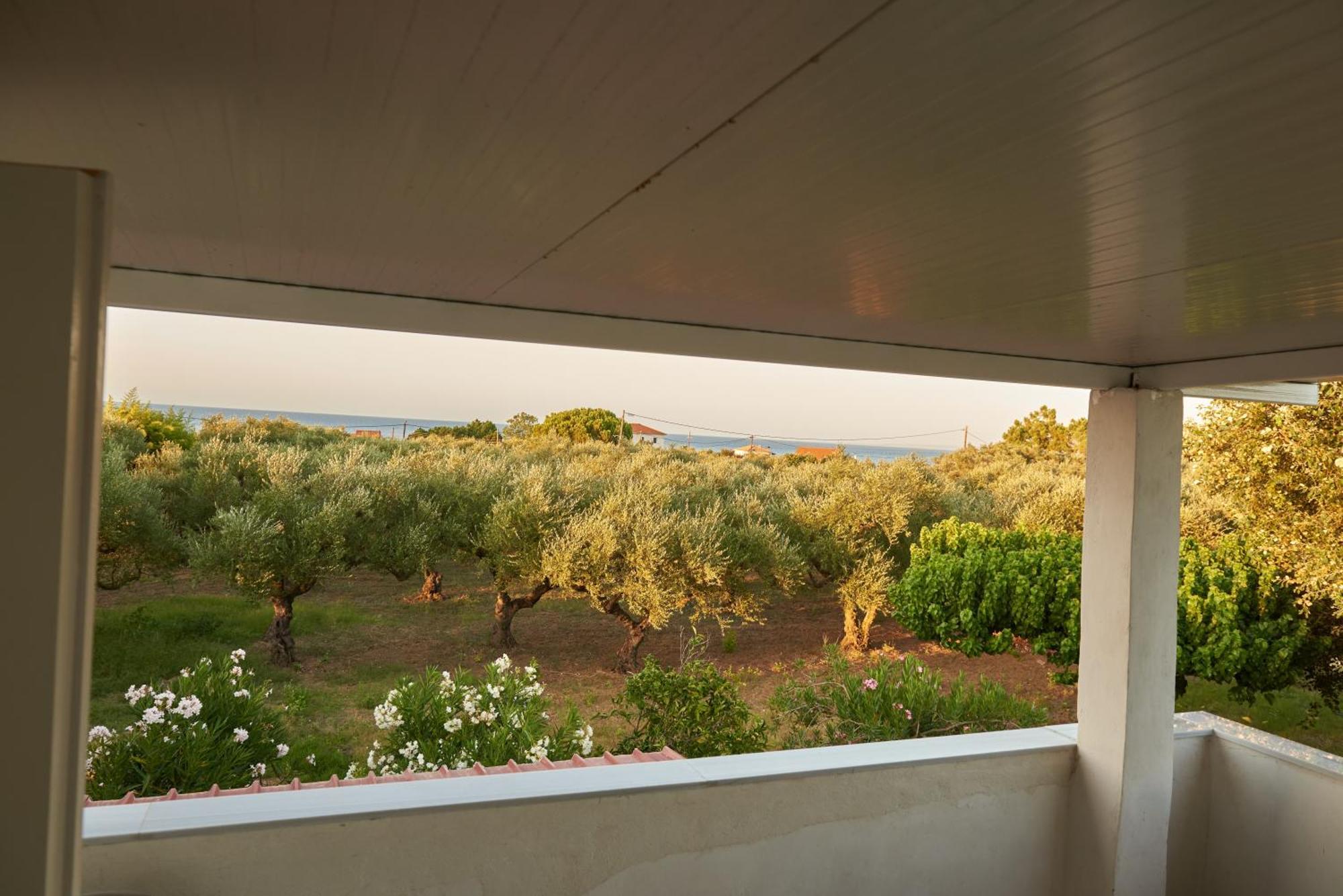Rania / Zante Drosia Feriehus